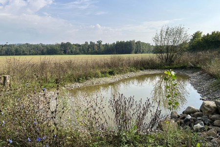 Brückenhabitat am Standort Grund